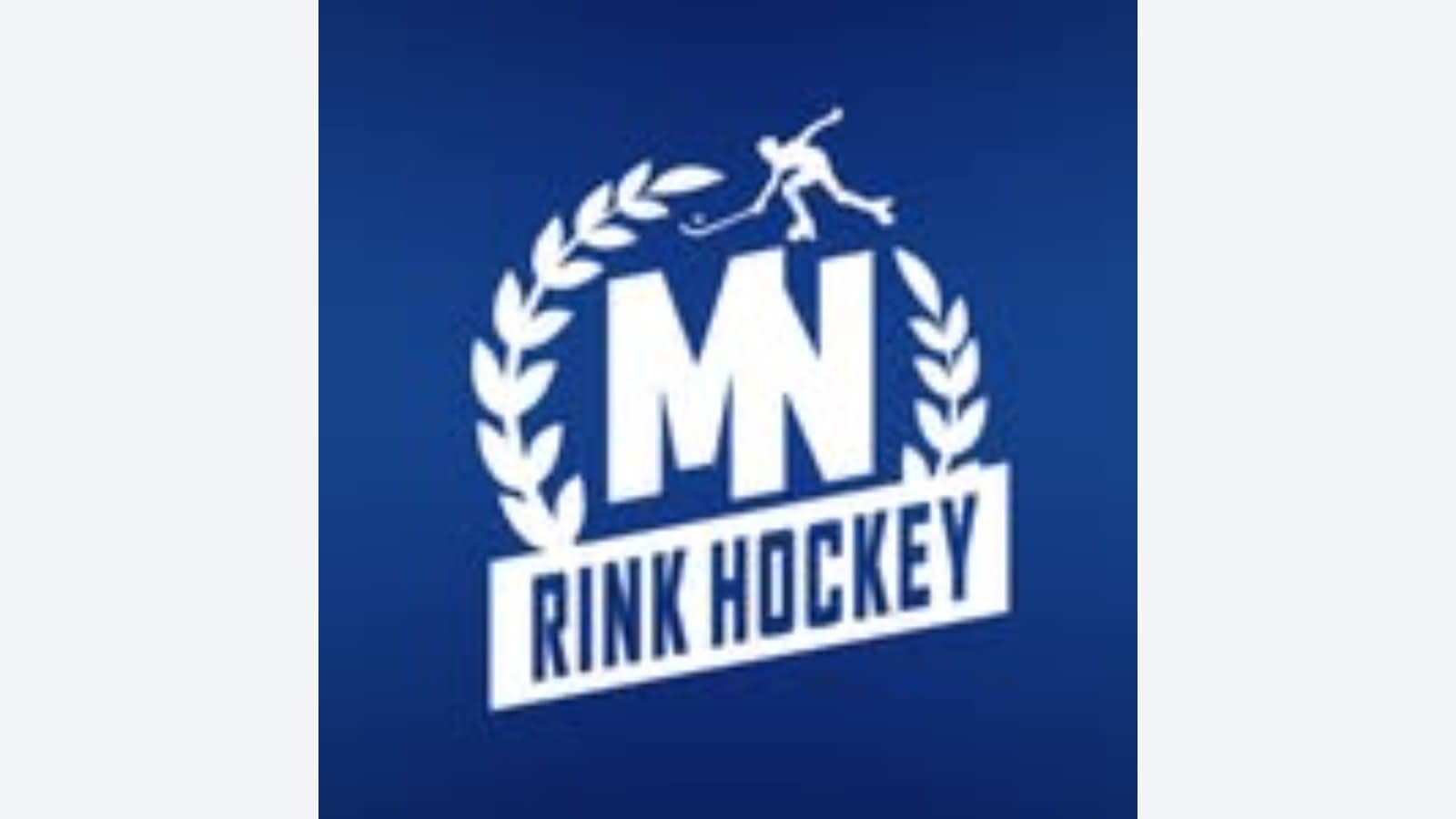 VI Mare Nostrum Rink Hockey